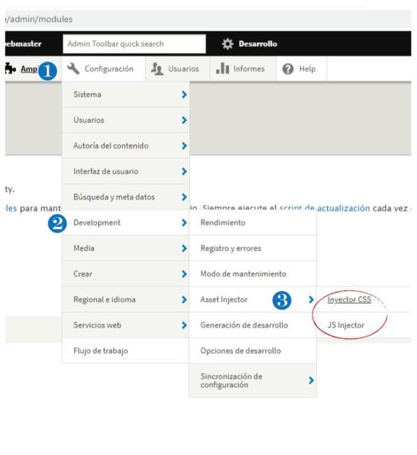 Asset Injector módule | www.drupaladicto.com - Consultor especializado en Drupal y Symfony