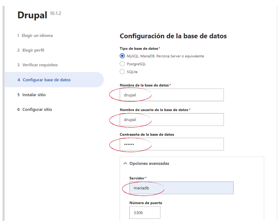 Docker Drupal | www.drupaladicto.com - Consultor especializado en drupal y symfony
