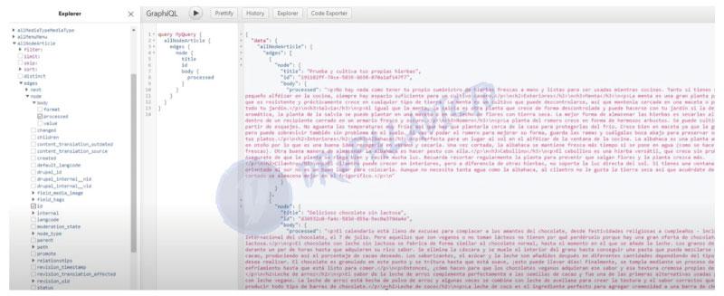 Drupal 9 headless Gatsby | www.drupaladicto.com - Consultor especializado en drupal y symfony Drupal 9 headless Gatsby | www.drupaladicto.com - Consultor especializado en drupal y symfony