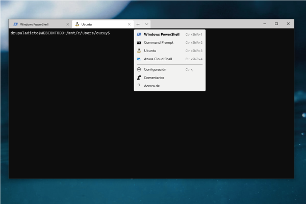 windows terminal